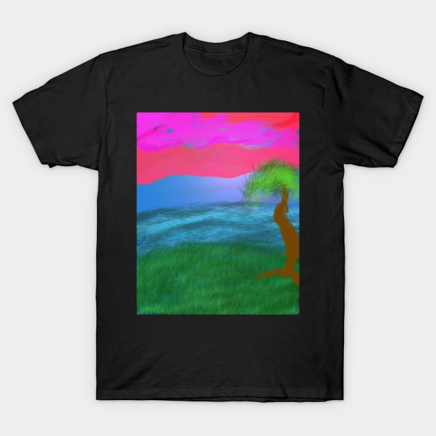 Beautiful sunset T-Shirt by Joelartdesigns